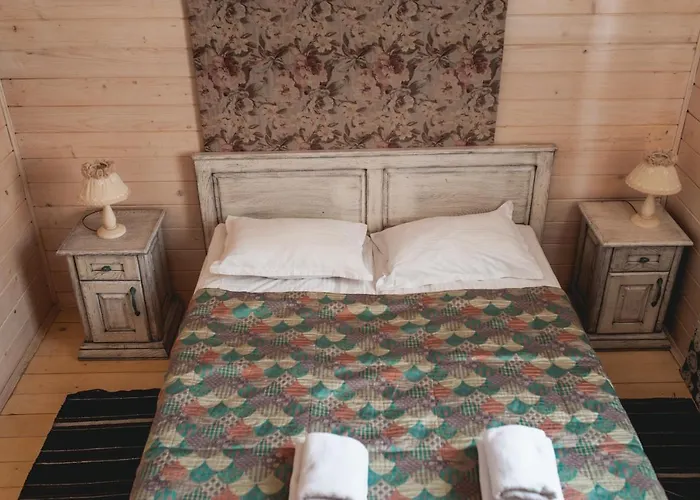 Отель Gorgany & 4*